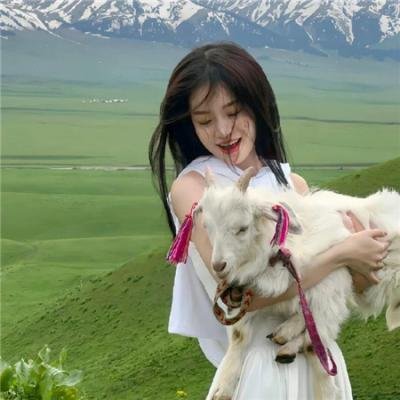 猛龙怪客4：镇压